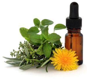 Terapia Floral 2 2jpg BACH 1 1