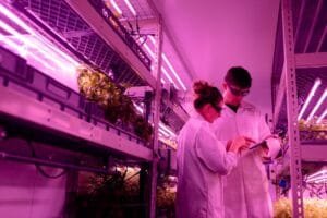 scientists in indoor farm