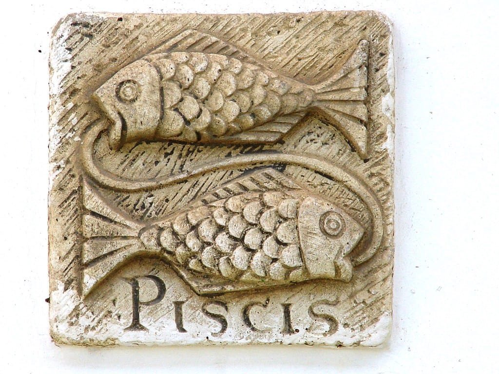 Pisces. piscis