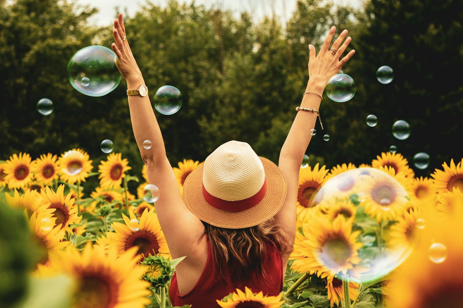 museo del yo, woman surrounded by sunflowers