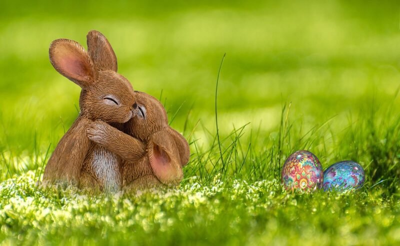easter, easter bunny, egg, rabbit, spring, greeting card, nature, easter eggs, happy easter, cute, easter figurines, easter decoration, easter festival, meadow, hug, photomontage, composing, fantasy, easter theme, sweet, egg shaped, easter celebration, composition, rabbit ears, semana santa, pascua, perdon, perdonar