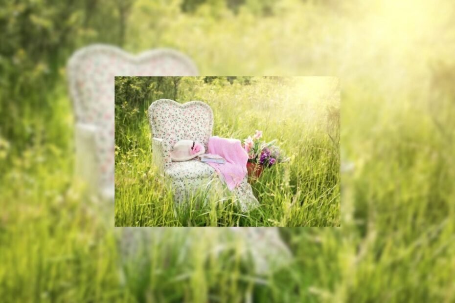 la teoría de la silla, silla, vinculos,chair in field, floral chair, pink, summer, nature, countryside, outdoors, pink, pink, pink, pink, summer, summer, summer, summer, summer, nature, countryside