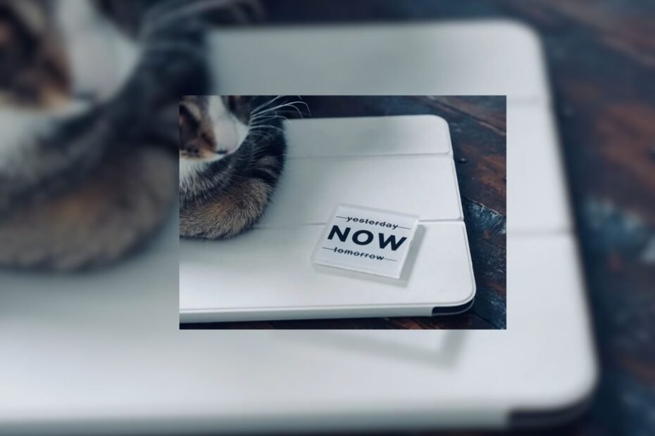 slowtech ,A cat rests next to a "now" sign, dispositivo